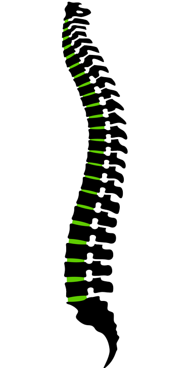 Non-surgical Spinal Decompression (Traction)